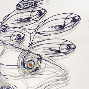 amimono-predateur-de-couleurs