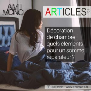 Article sur le site de l'artiste Amimono - Article n°1 - 25